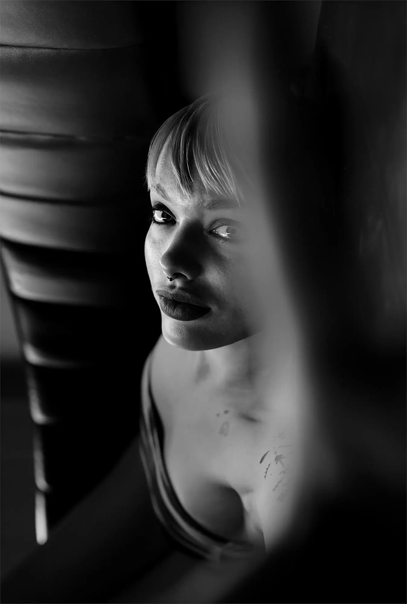 PORTRAITS - Image 15