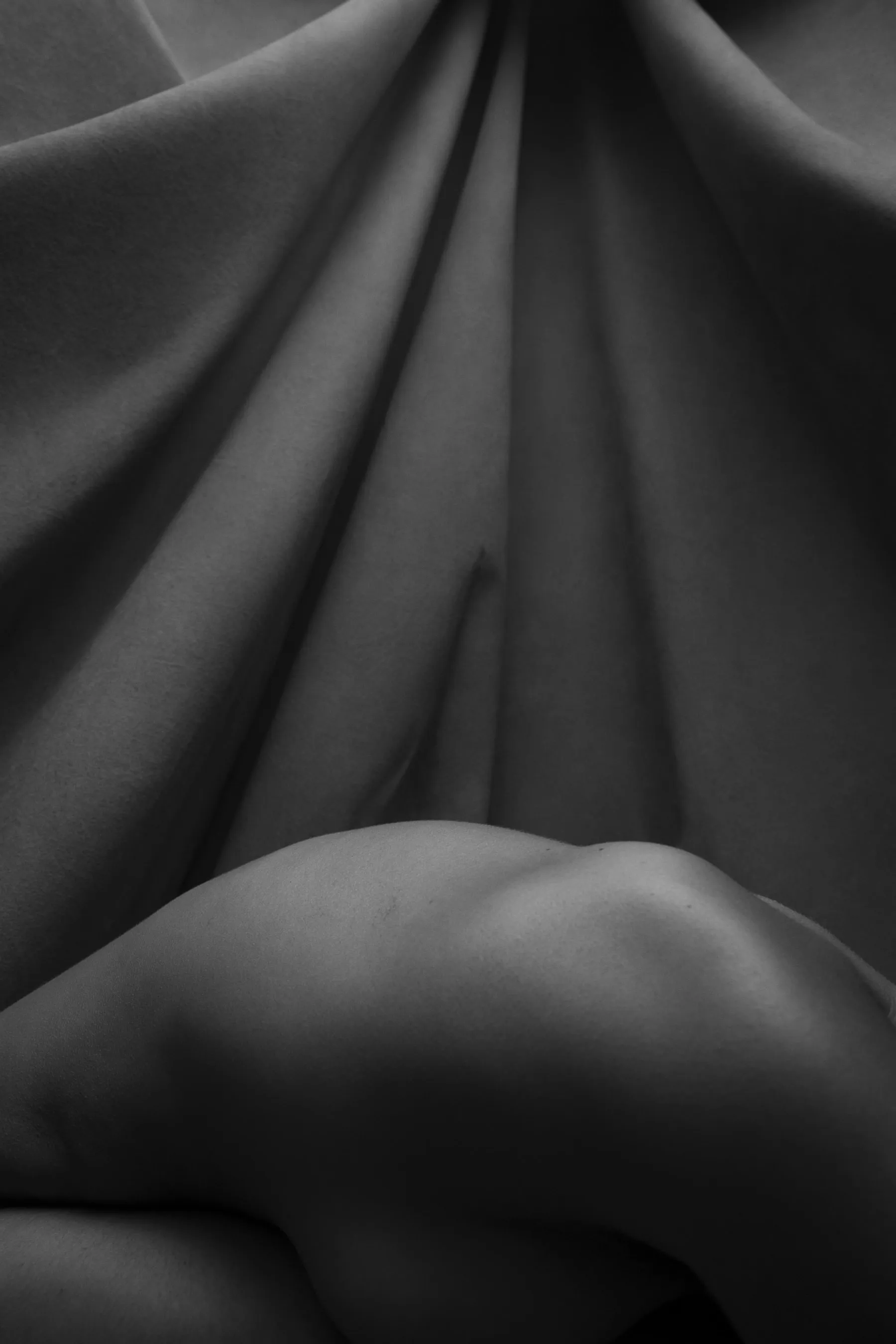 Absordo documentation